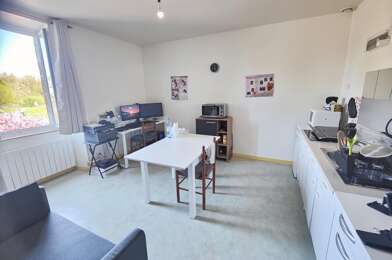 Appartement 2 pièces 349 €