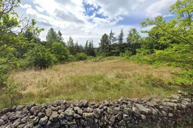 Terrain  79000 €