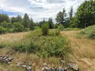 Terrain 1350 m2 - 15 min des Vans - Plat et réseaux avec accès immédiat — photo 2