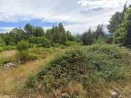 Terrain 1350 m2 - 15 min des Vans - Plat et réseaux avec accès immédiat — photo 3