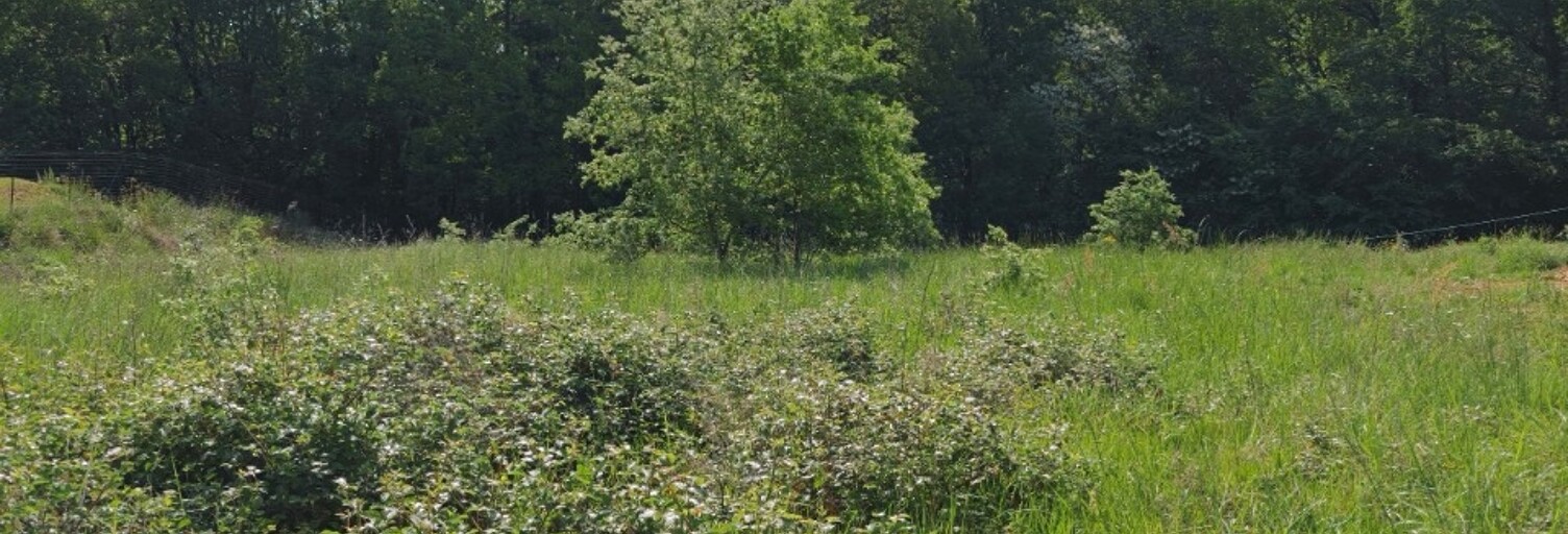 Terrain  2407 m² à vendre à Estillac (47310)