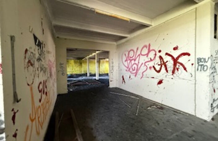 APPARTEMENT PLATEAU A AMENAGER T5 EN RDC — photo 4