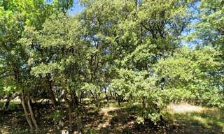 Terrain 1500 m² à construire Grignan (26230)