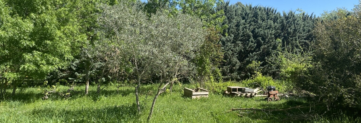 Terrain 320 m² à construire Le Puy-Sainte-Réparade (13610)