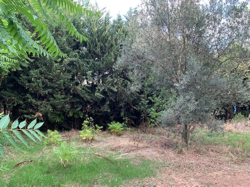 Terrain  à vendre Saint-Maximin-la-Sainte-Baume 83470