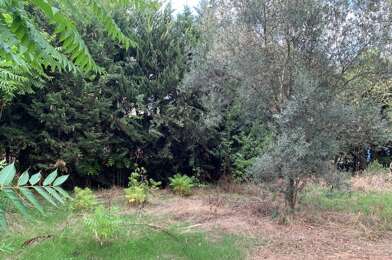 Terrain  205000 €