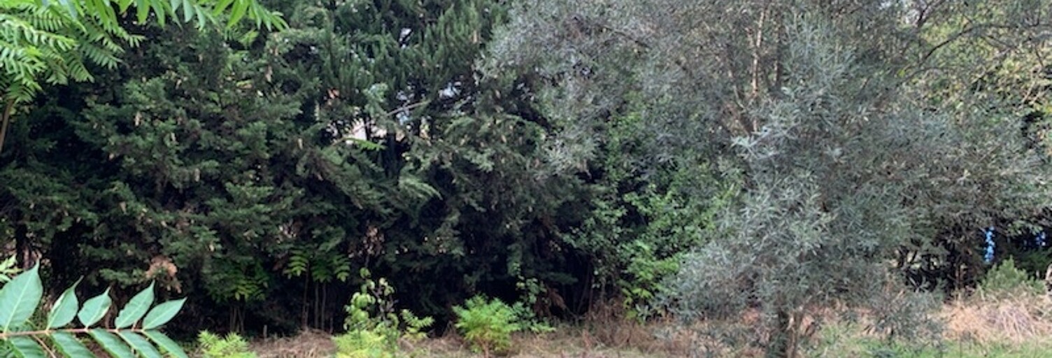 Terrain 400 m² à construire Saint-Maximin-la-Sainte-Baume (83470)