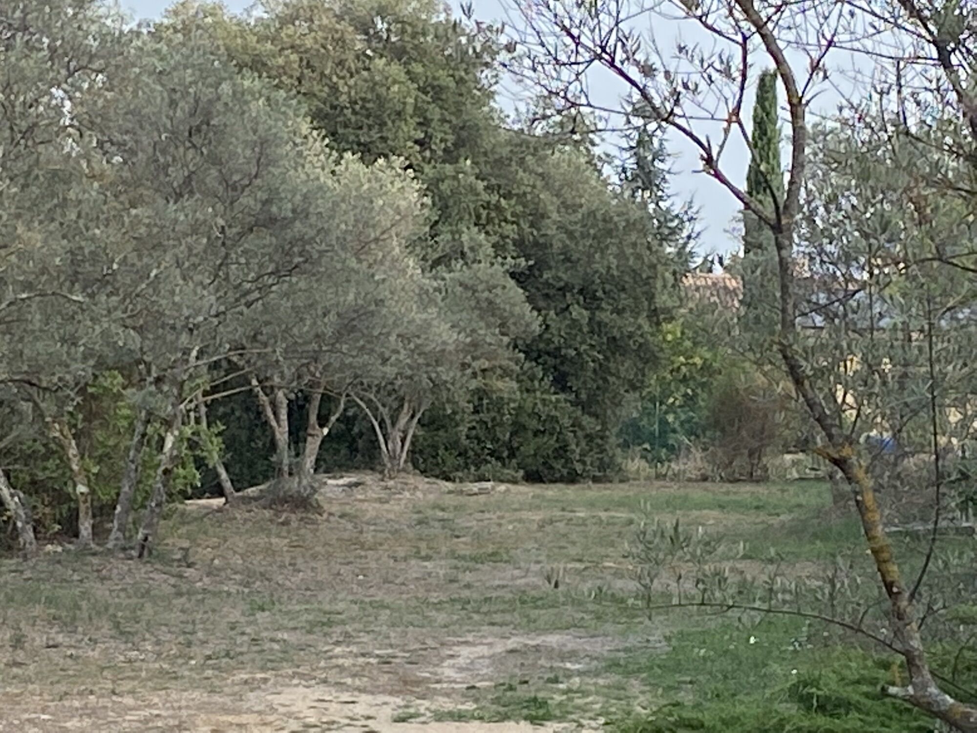 Terrain  à vendre Saint-Maximin-la-Sainte-Baume 83470