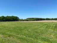 Maison À Vendre sur 2 hectares et dépendance — photo 3