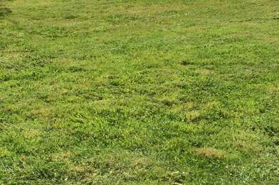 Terrain  40000 €