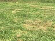 Terrain à vendre de 1 200,00 m² CROISY SUR ANDELLE (76) — photo 2