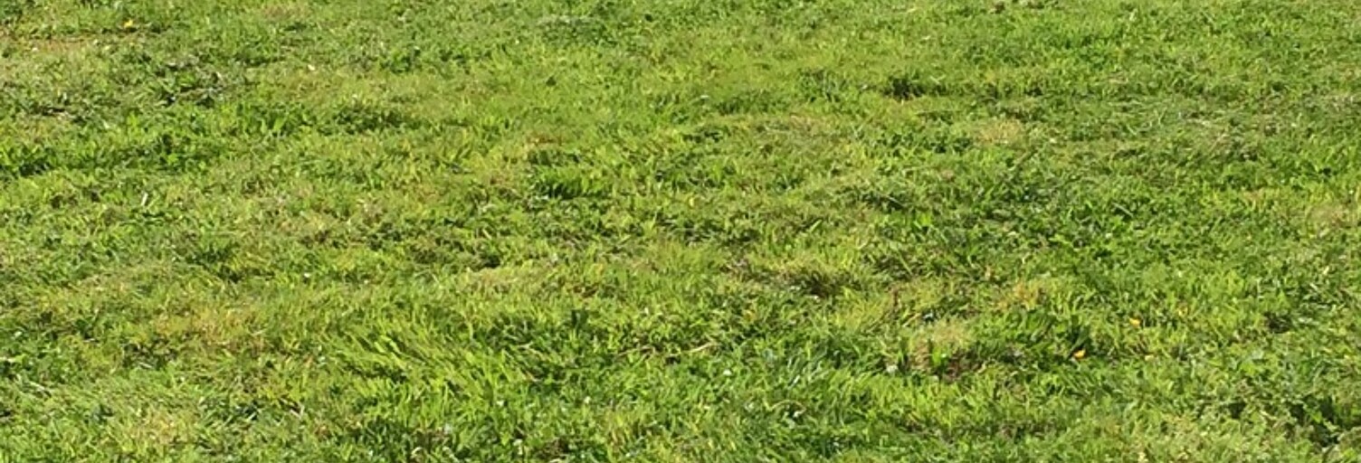 Terrain  812 m² à vendre à Croisy-sur-Andelle (76780)