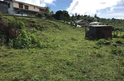 Dpt Martinique (972), à vendre LA TRINITE terrain de 940 m² — photo du bien