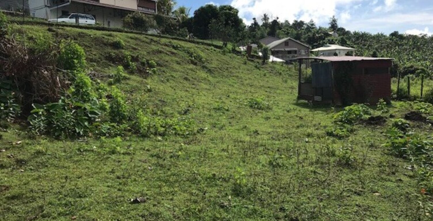 Dpt Martinique (972), à vendre LA TRINITE terrain de 940 m² — photo 1