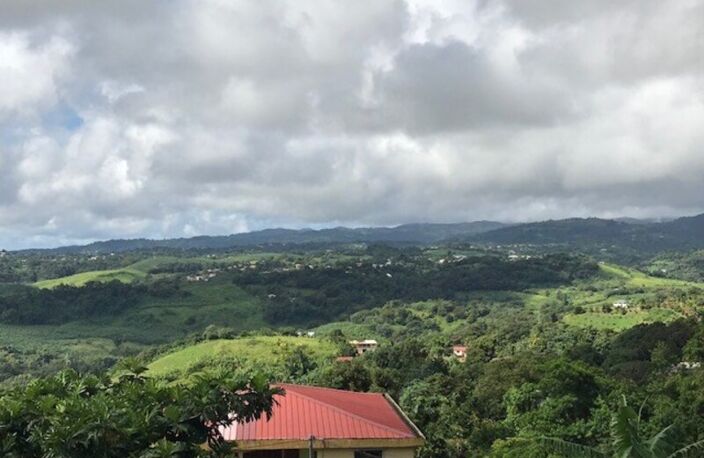 Dpt Martinique (972), à vendre LA TRINITE terrain de 940 m² — photo 3