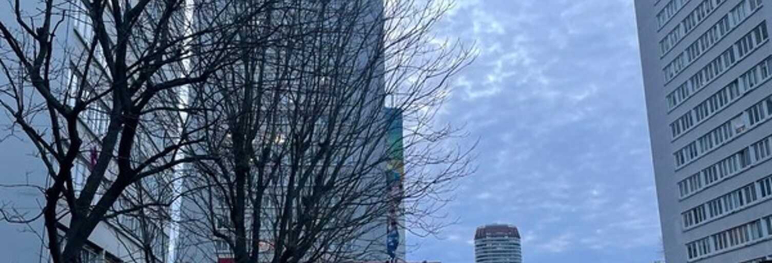Photo N° 2