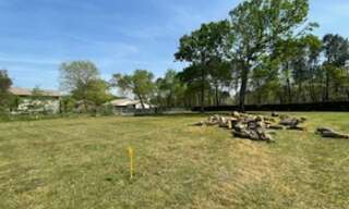 Terrain  996 m² à vendre à Saint-Jean-d'Illac (33127)