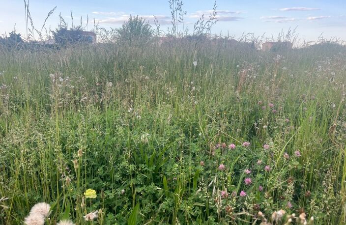 Terrain à vendre de 814,00 m² FONTVIEILLE (13) — photo 2