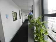 Dpt Isère (38), à vendre BOURGOIN JALLIEU Locaux commerciaux 115 m² — photo 4