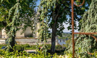 Maison 11 Pièces 328 m² à vendre à Saumur (49400)