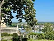 Propriete d'exception à vendre à SAUMUR (49400)  Panorama d'exception sur le château et la Loire - 328m² - 2278m²-piscine — photo 3
