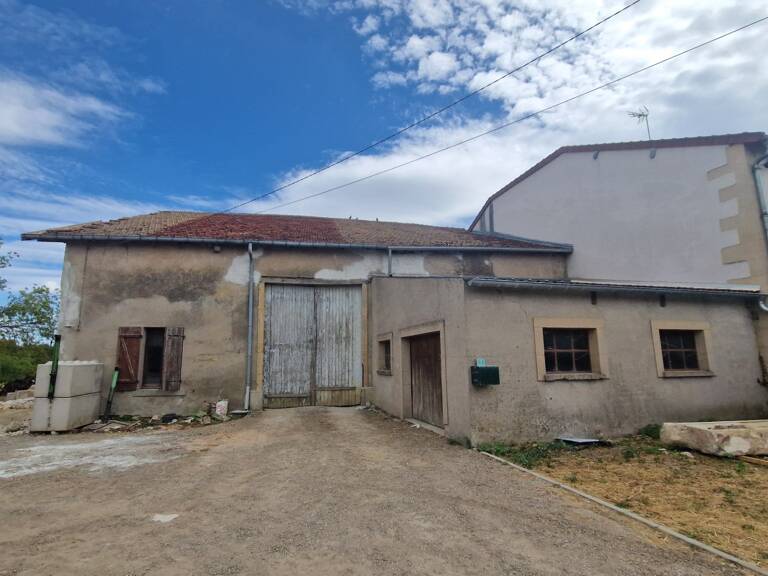MAISON À RÉHABILITER ET GRANGE 226 M2 EXPLOITABLES / GARAGES ET TERRAIN À JONVILLE-EN-WOËVRE — photo 1