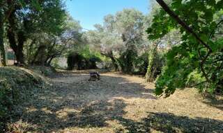 Terrain  1193 m² à vendre à Saint-Savournin (13119)