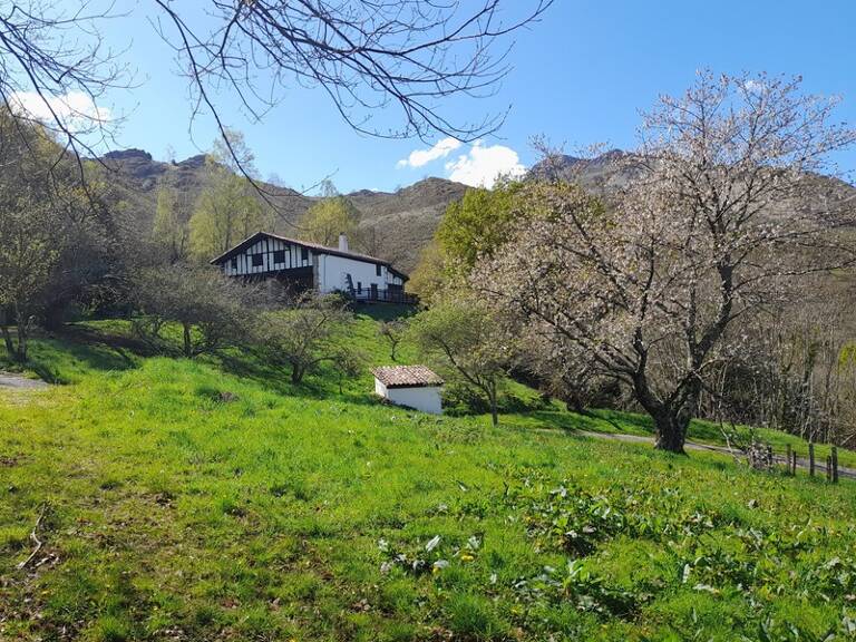 Propriete à vendre 7 pièces SARE (64) — photo 1