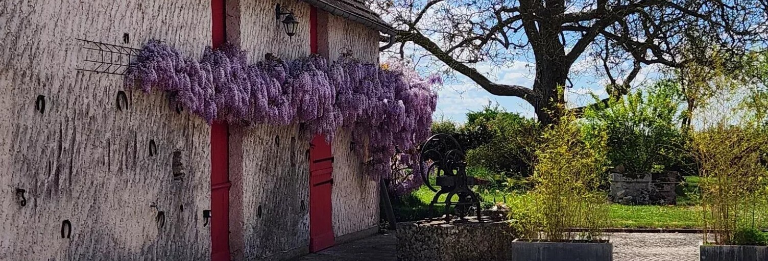 Maison 9 Pièces 286 m² à vendre à Villorceau (45190)