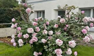 Maison 6 Pièces 130 m² à louer à Rezé (44400)