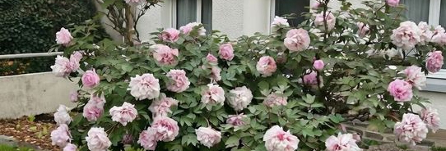 Maison 6 Pièces 130 m² à louer à Rezé (44400)