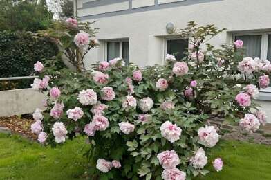 Maison 6 pièces 1300 €