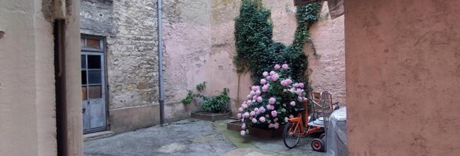 Appartement 1 Pièce 36 m² à louer à Villefranche-sur-Saône (69400)