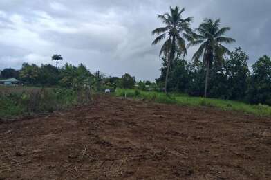 Terrain  180000 €
