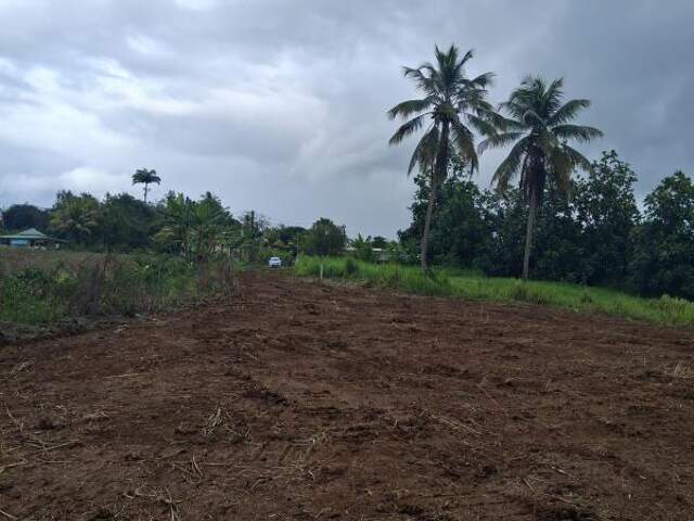 Terrain À Vendre — photo du bien