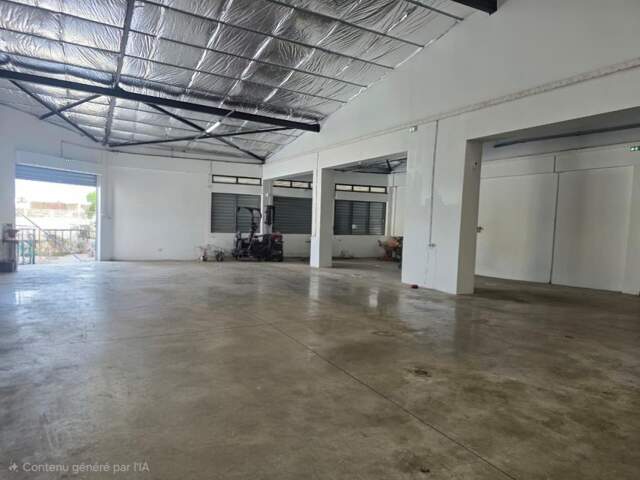 2- LOCAL COMMERCIAL - SHOWROOM - BEL AIR, ST-LOUIS — photo du bien