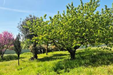 Terrain  85000 €