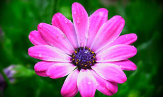 Appartement 2 Pièces 40 m² à vendre à Dax (40100)