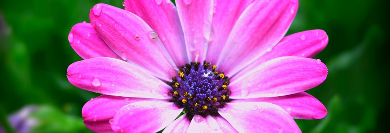 Appartement 2 Pièces 40 m² à vendre à Dax (40100)