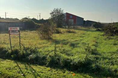 Terrain  29000 €