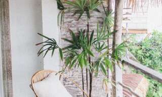 Appartement 3 Pièces 61 m² à vendre à Marseille 8 (13008)