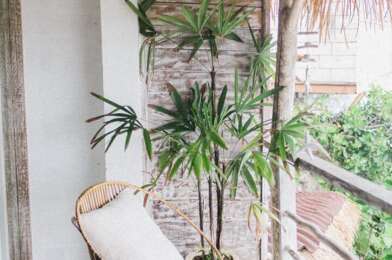 Appartement 3 pièces 434000 €