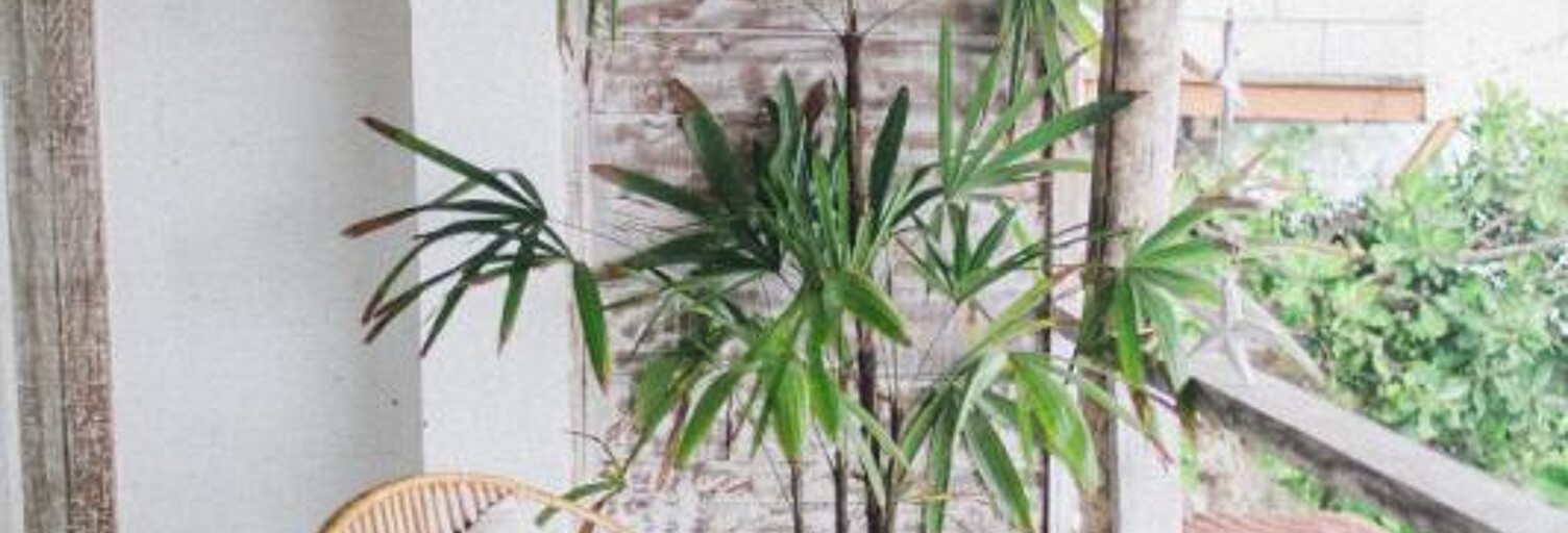 Appartement 3 Pièces 61 m² à vendre à Marseille 8 (13008)