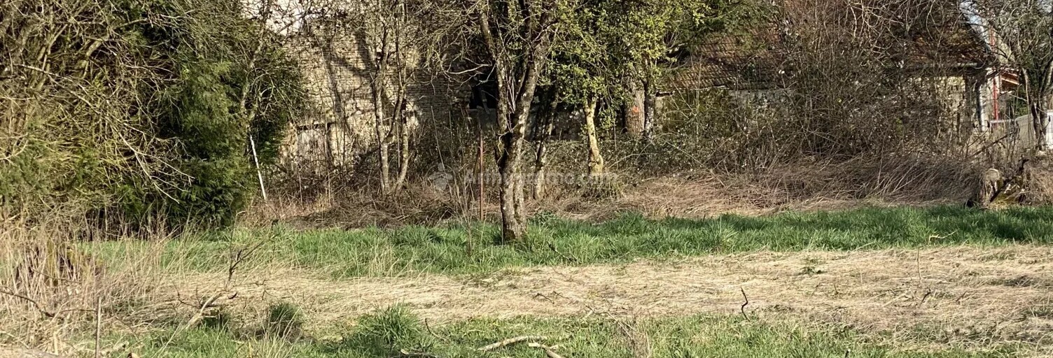 Maison 6 Pièces 126 m² à vendre à Leurville (52700)