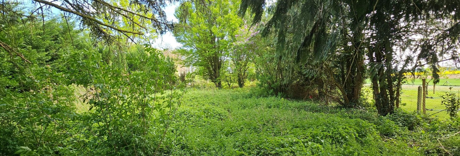 Terrain  1168 m² à vendre à Villiers-Saint-Georges (77560)