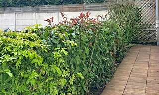 Appartement 2 Pièces 45 m² à louer à Lamorlaye (60260)