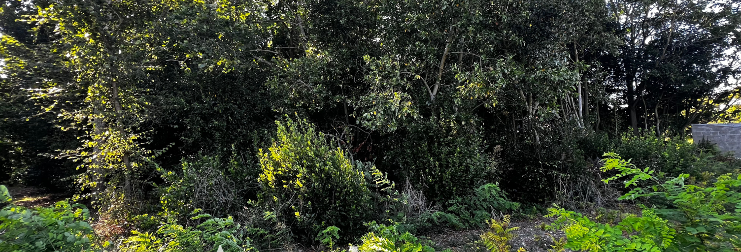 Terrain  1261 m² à vendre à Nieul-sur-Mer (17137)