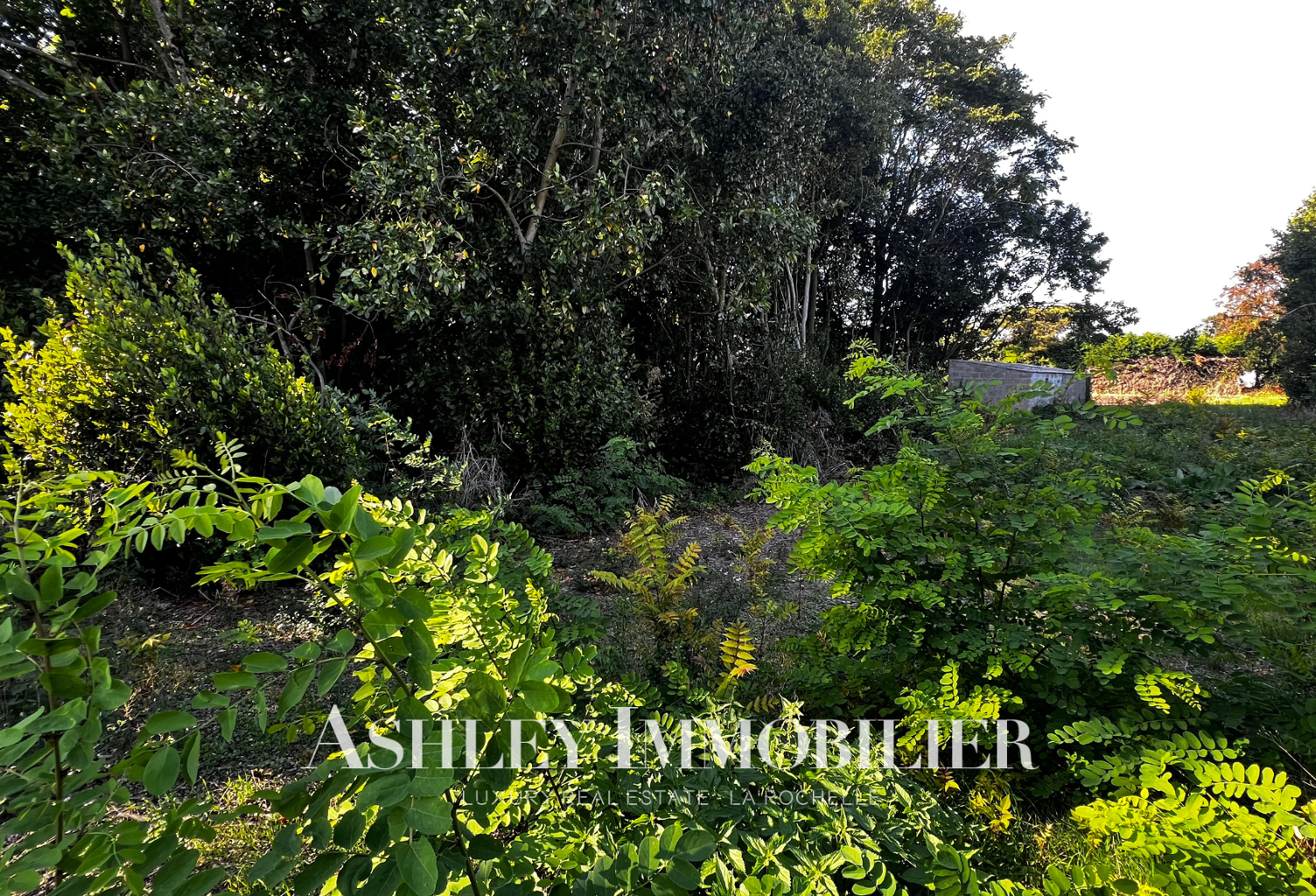 À VENDRE - TERRAIN CONSTRUCTIBLE RARE 1 162 m2 VIABILISÉ-  N — photo 1