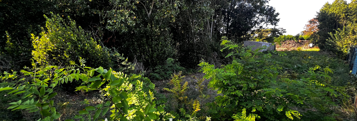 Terrain  1162 m² à vendre à Nieul-sur-Mer (17137)