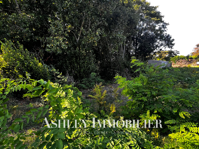 À VENDRE - TERRAIN CONSTRUCTIBLE RARE 1 162 m2 VIABILISÉ-  N — photo 1
